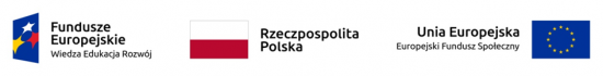 Logo Fundusze Europejskie, flaga Rzeczpospolita Polska, flaga Unia Europejska Europejski Fundusz Społeczny